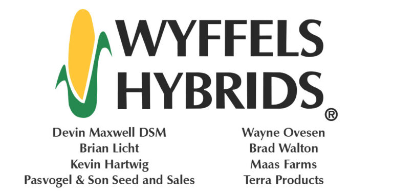 wyffels