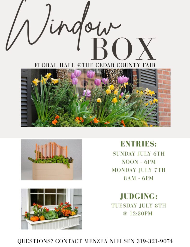 2025 Window Box