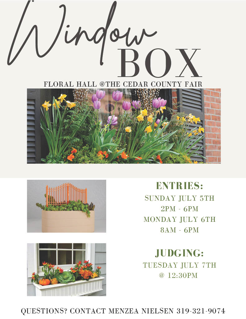 2026 Window Box